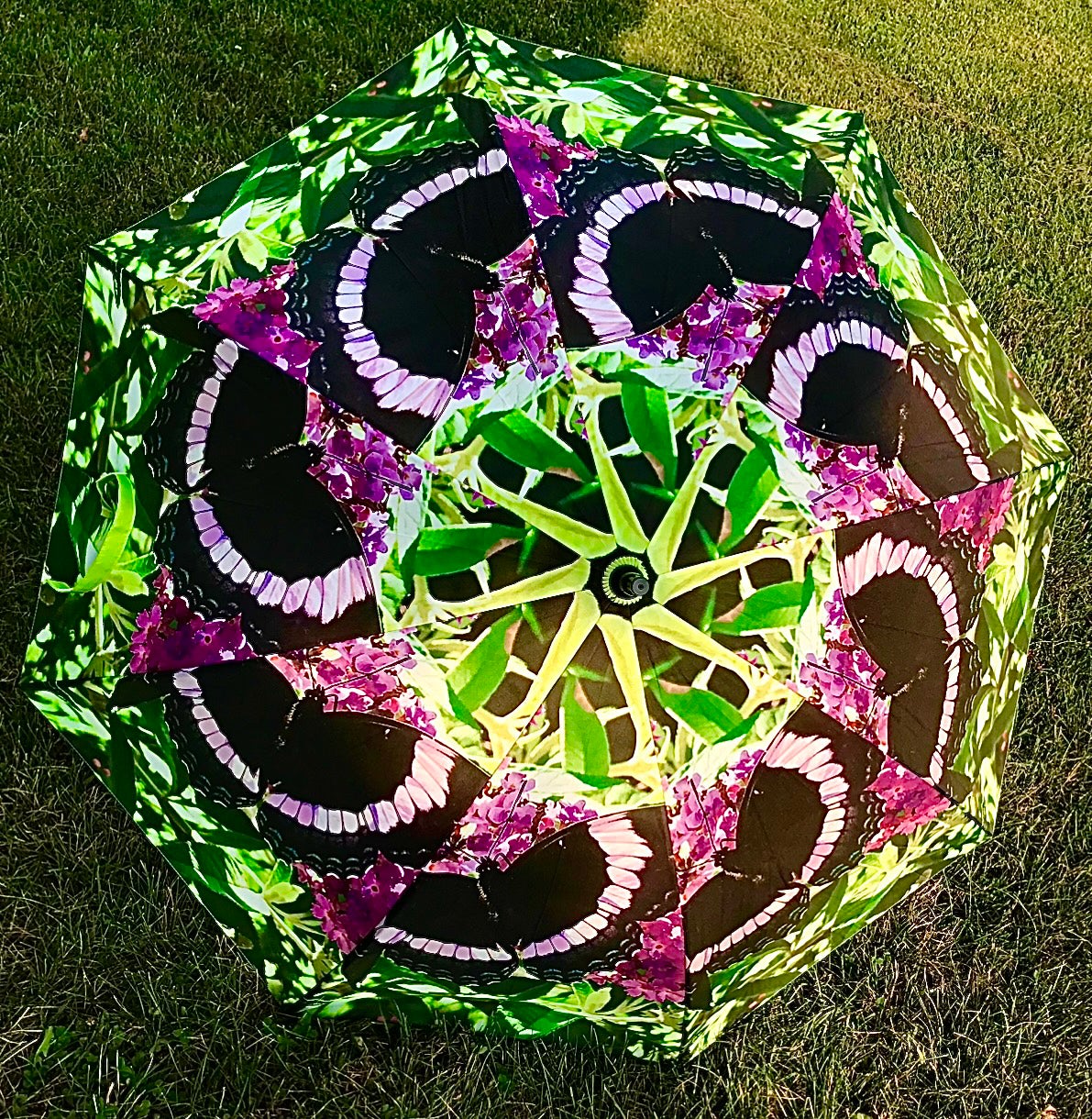Home | The Umbrella Lady